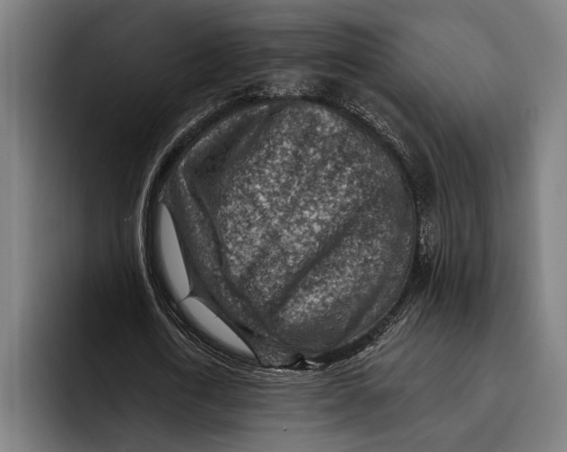 X0000092300722200710121446