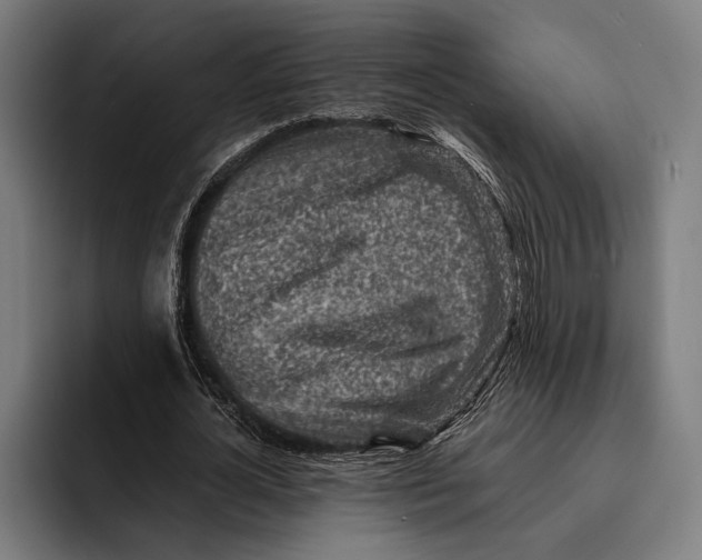 X0000092300724200710121446