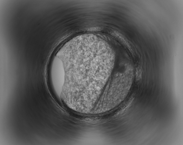 X0000092300725200710121446