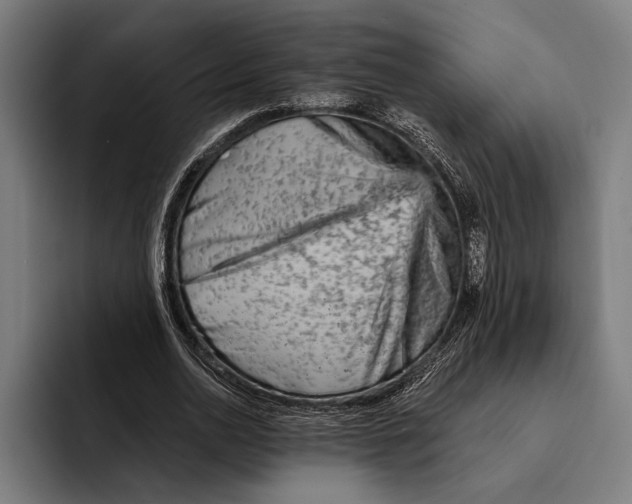 X0000092300726200710121446