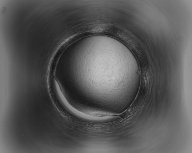 X0000092300728200710121446