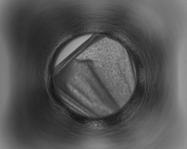 X0000092300731200710121446