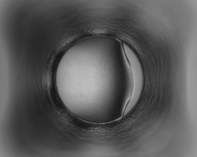 X0000092300732200710121446