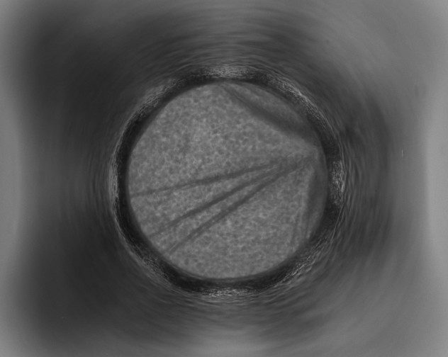 X0000092300734200710121446