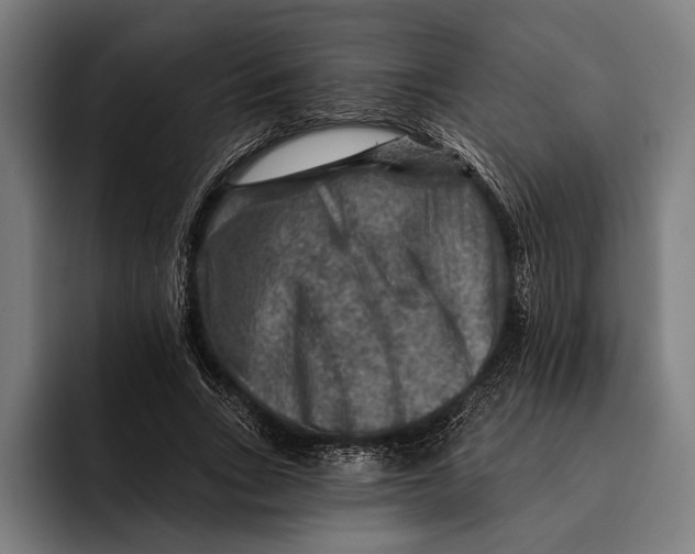 X0000092300735200710121446