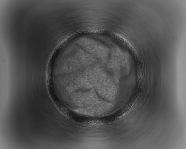 X0000092300736200710121446