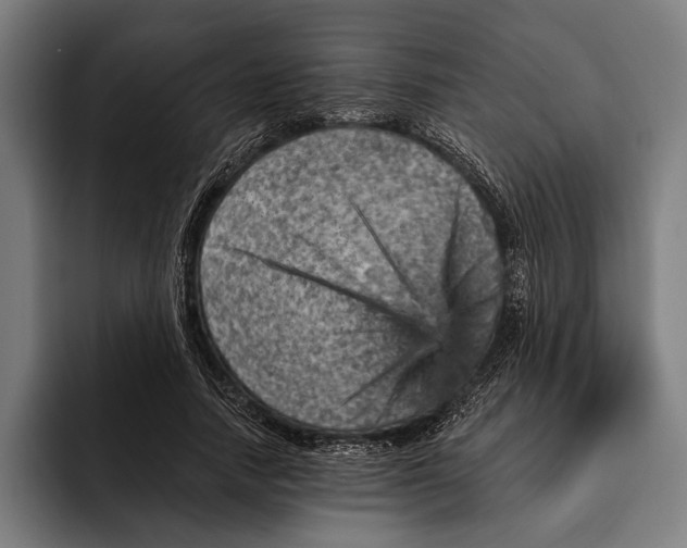 X0000092300738200710121446