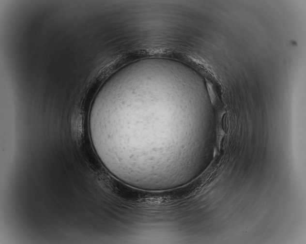 X0000092300740200710121446