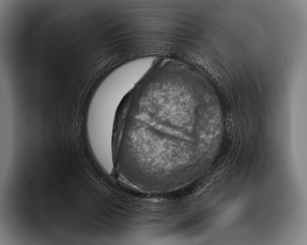 X0000092300741200710121447