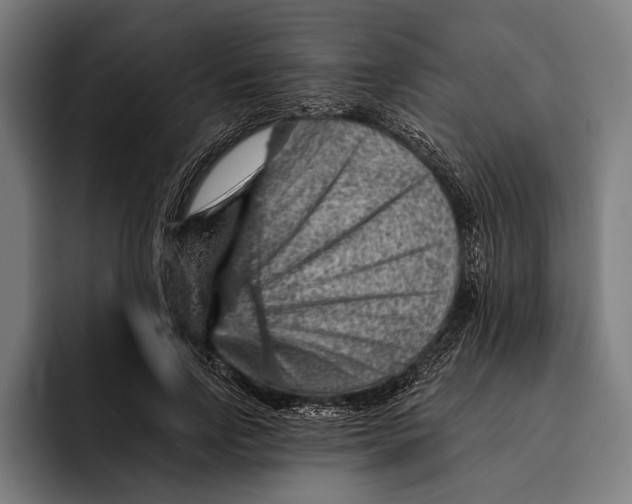 X0000092300742200710121447