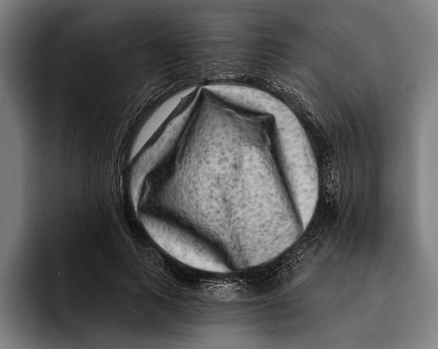 X0000092300743200710121447