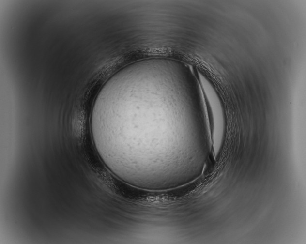 X0000092300744200710121447