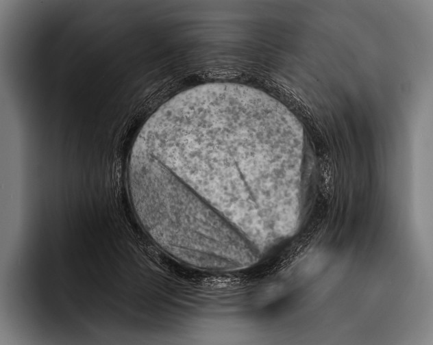 X0000092300745200710121447