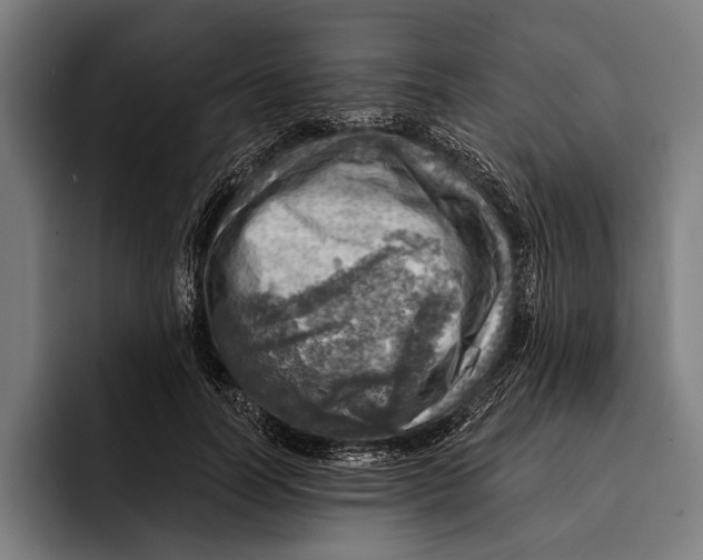 X0000092300746200710121447