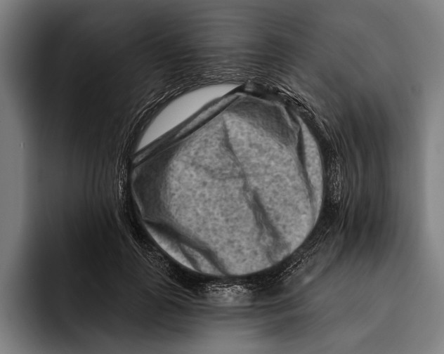 X0000092300747200710121447