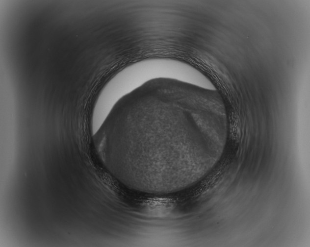 X0000092300748200710121447