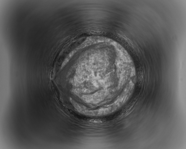 X0000092300749200710121447