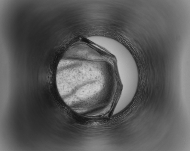 X0000092300750200710121447