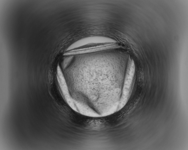 X0000092300751200710121447