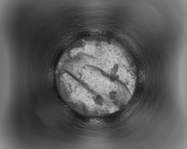 X0000092300753200710121447