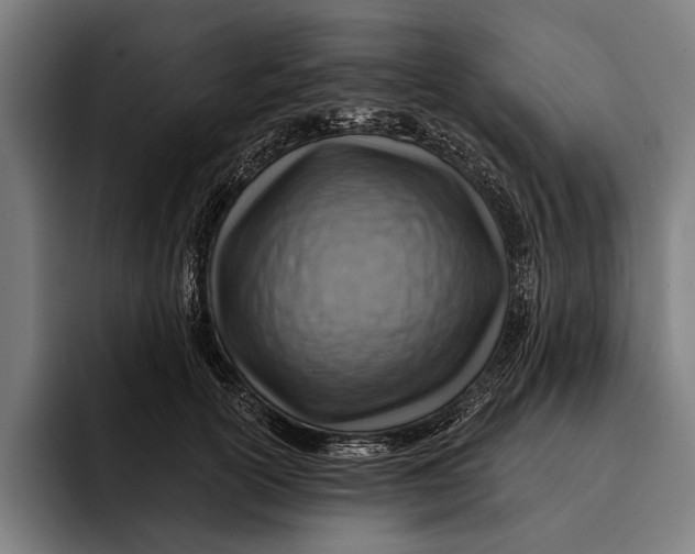 X0000092300754200710121447