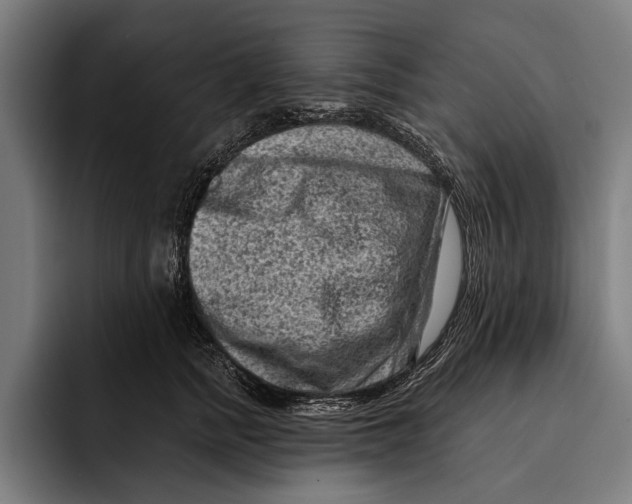 X0000092300758200710121447