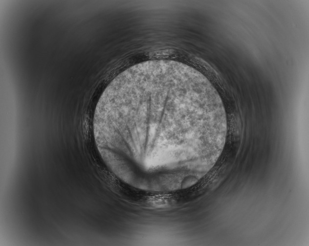 X0000092300761200710121447