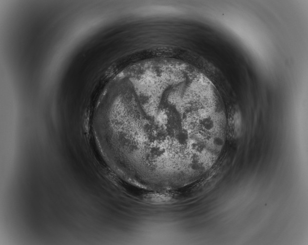 X0000092300765200710121447