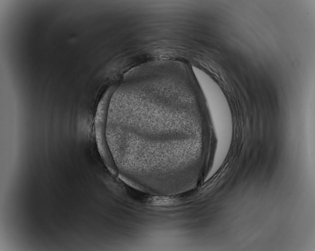 X0000092300766200710121447