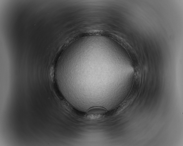 X0000092300767200710121447