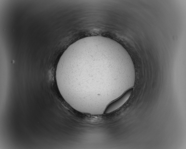 X0000092300768200710121447