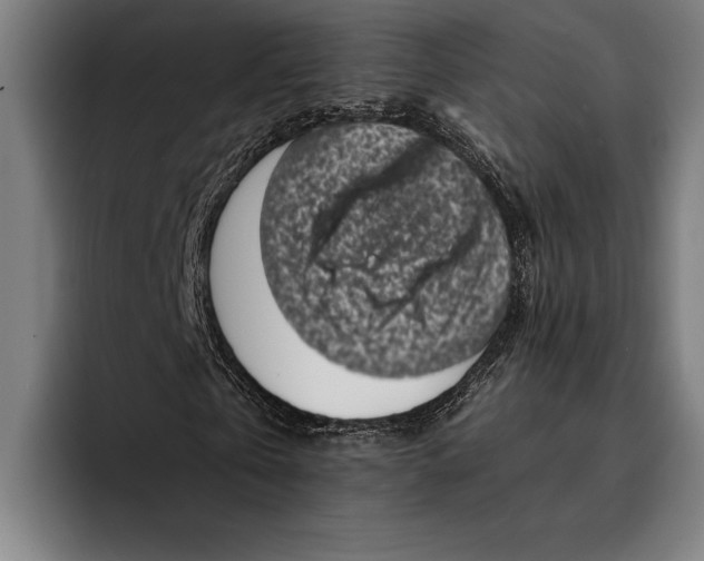 X0000092300769200710121446