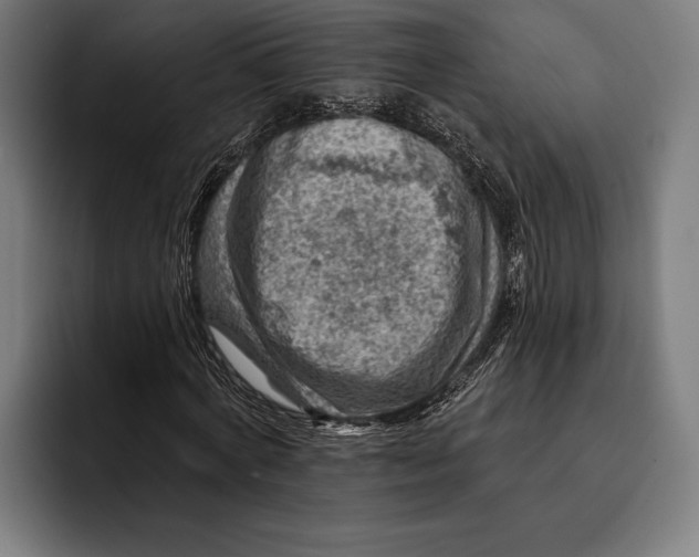 X0000092300772200710121446