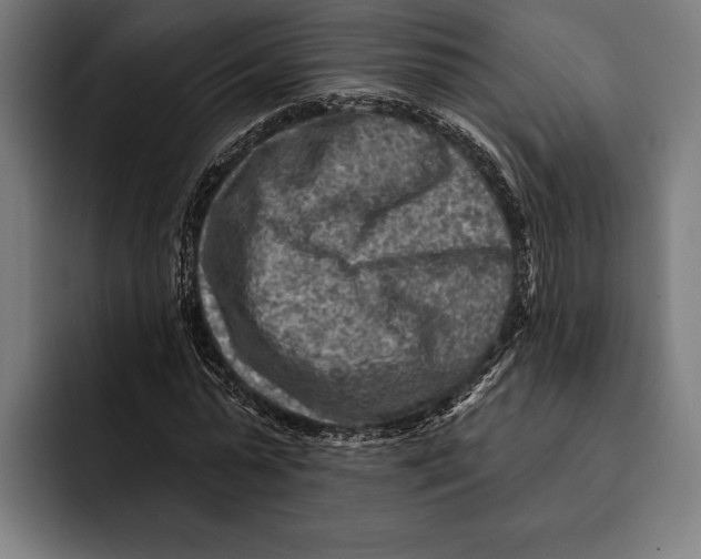 X0000092300775200710121446