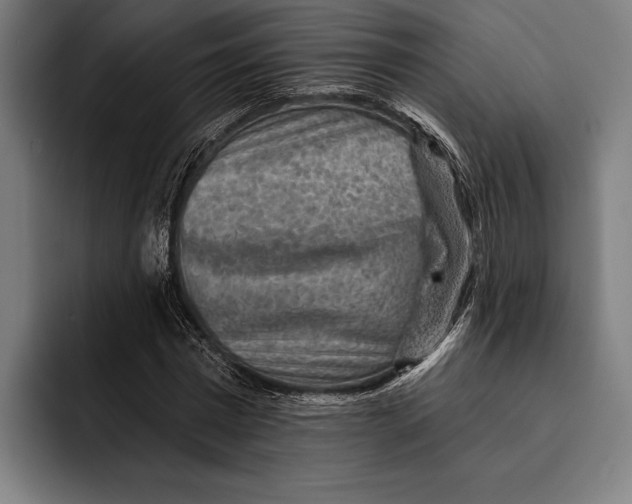 X0000092300777200710121446