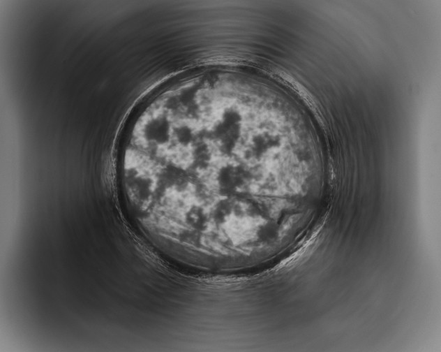 X0000092300779200710121446