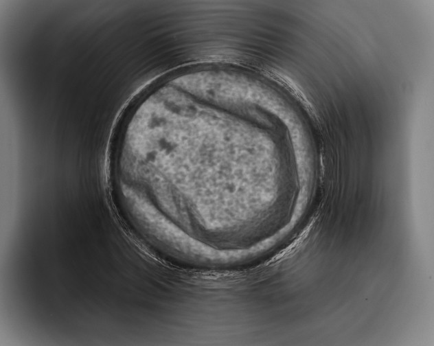 X0000092300780200710121446