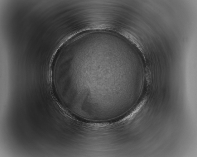 X0000092300781200710121446