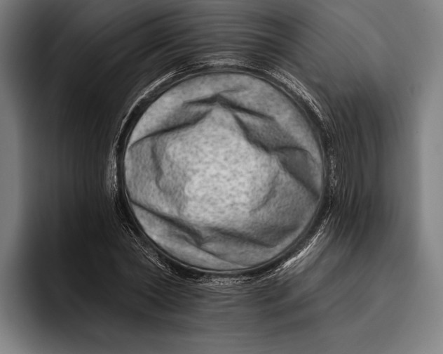 X0000092300782200710121446