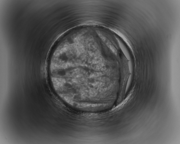 X0000092300783200710121446