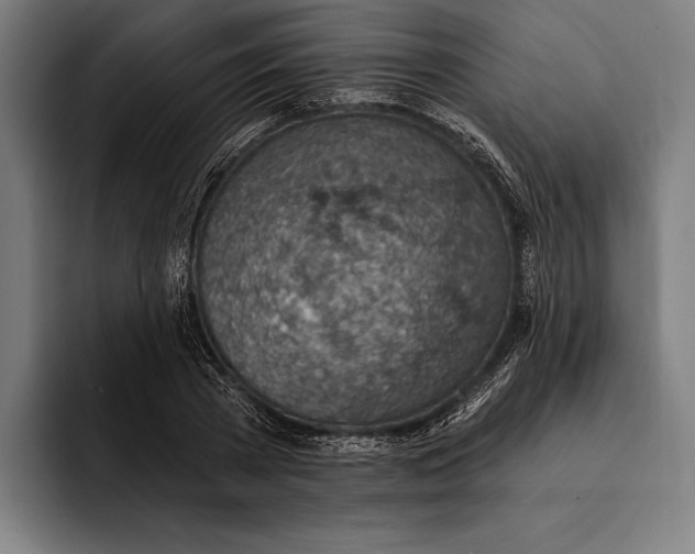 X0000092300785200710121446