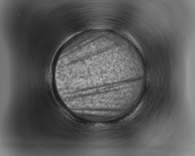 X0000092300787200710121446