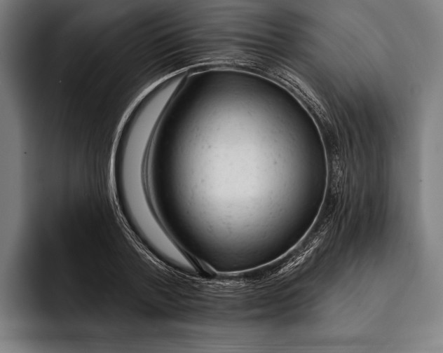 X0000092300788200710121446