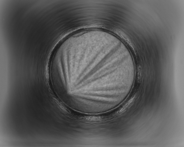 X0000092300789200710121446