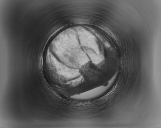 X0000092300790200710121446