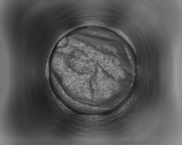 X0000092300791200710121446