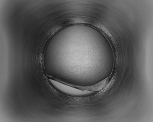 X0000092300793200710121446