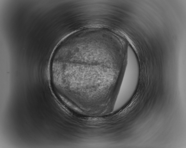 X0000092300795200710121446