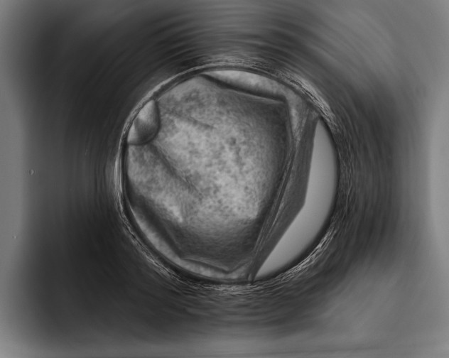 X0000092300796200710121446