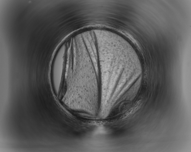 X0000092300799200710121446